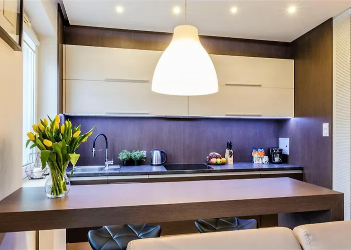 Lupoapartments Krolewska Z Klimatyzacja Penthouse Mandoria Parking Dostep Na Kod * Łódź